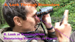 how to draw using binoculars in a eye shifting method