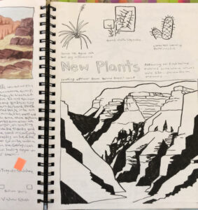 nature journaling in the grand canyon