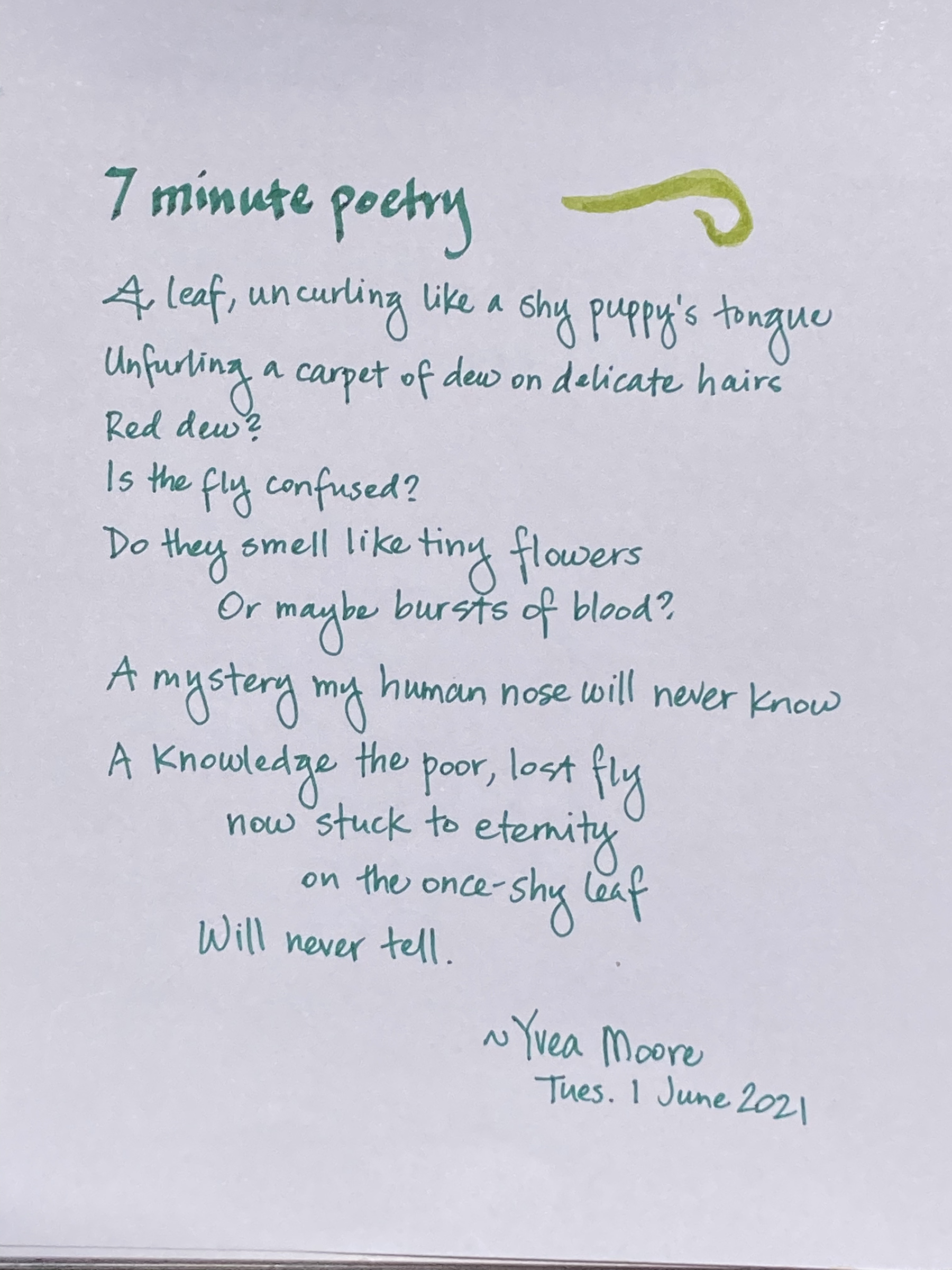 Yvea's sundew poem