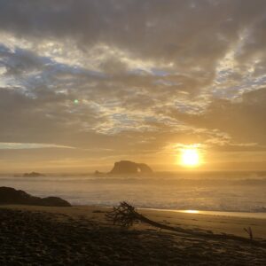 nature journaling at the beach sunset