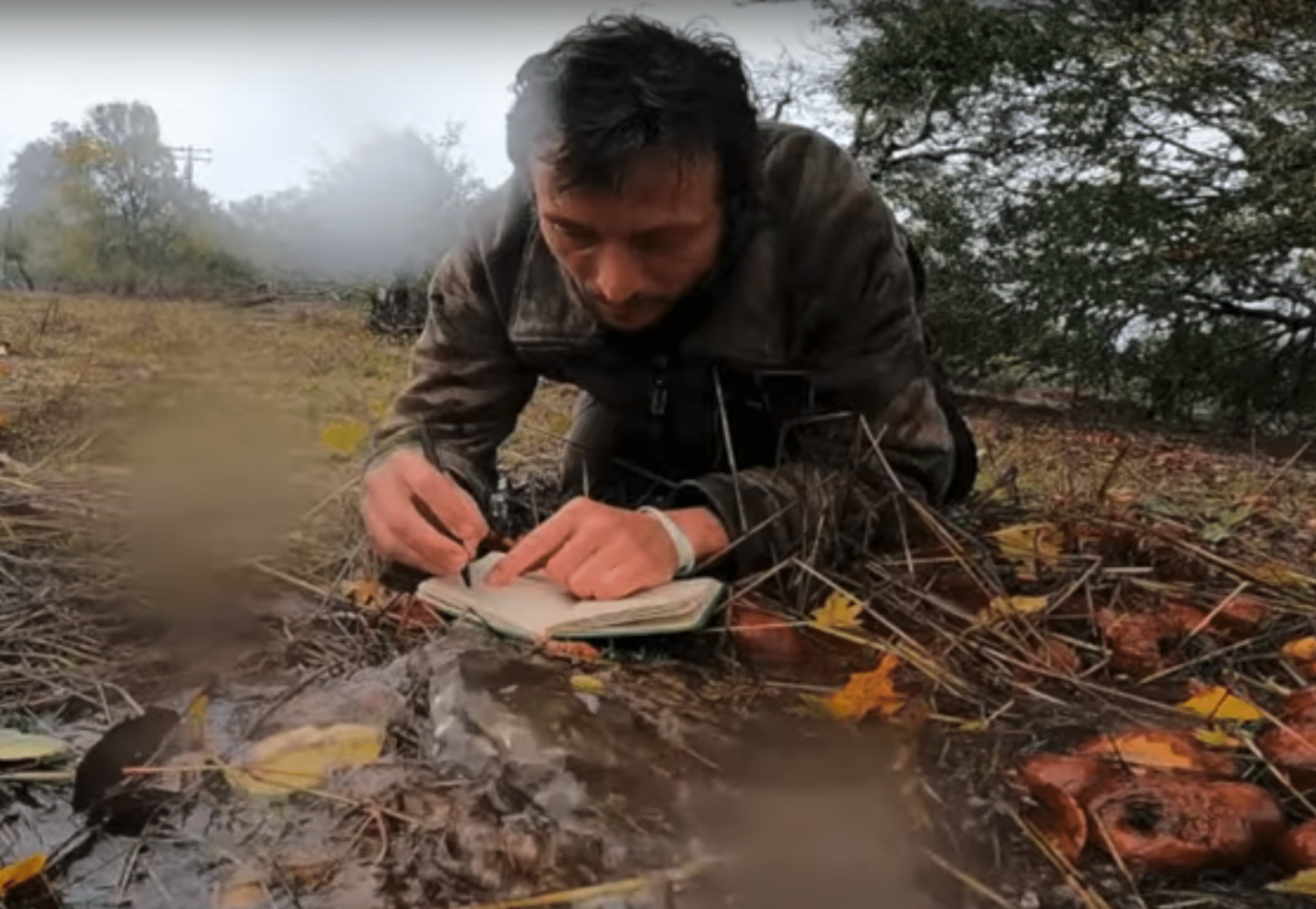 How to Nature Journal in the Rain!