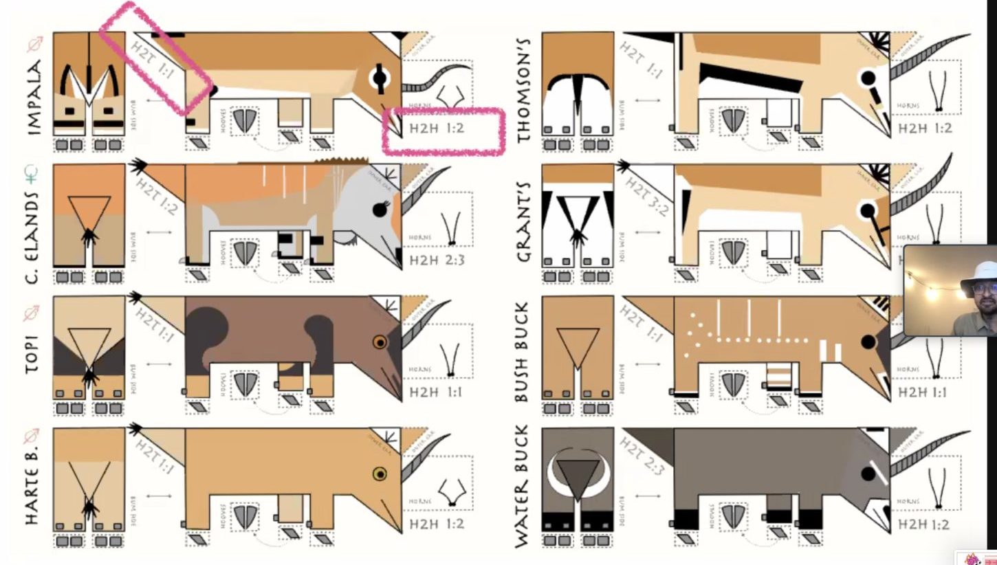 diagram by Akshay Mahajan showing simplified antelope shapes with different color patterns