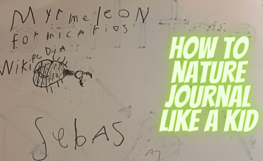 how to nature journal like a kid