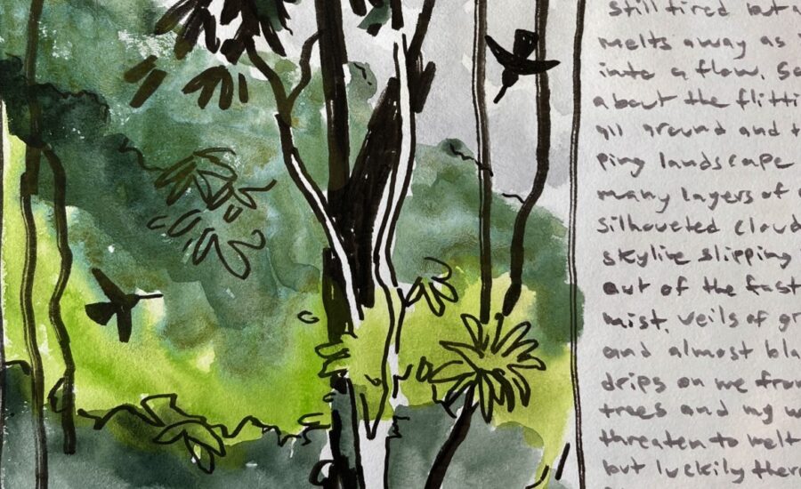 a nature journal page showing watercolor painting of a cloud forest including hummingbirds and some descriptive writing.