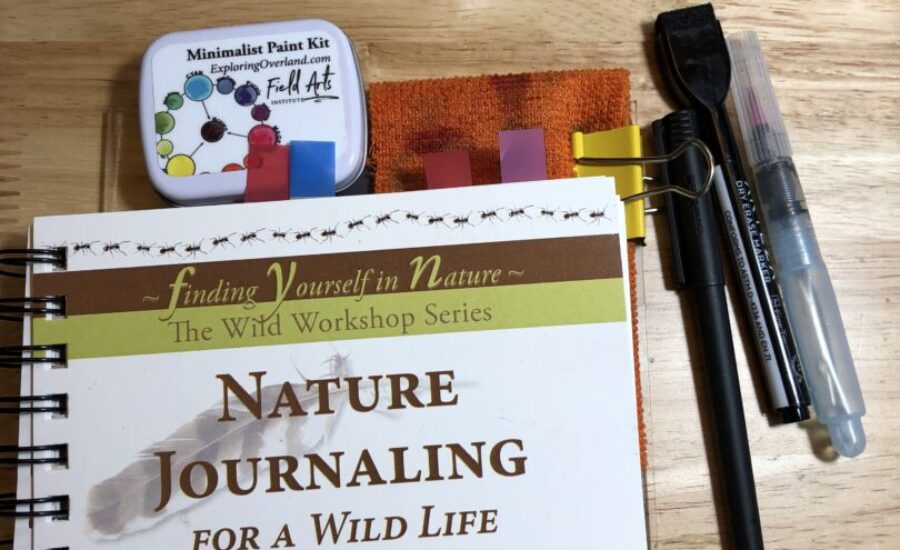 nature journaling for a wild life