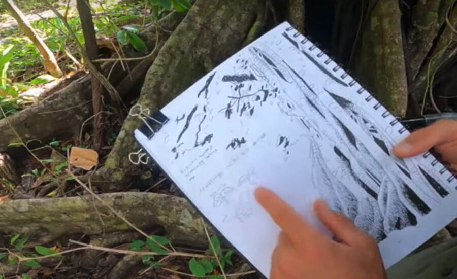 how to nature journal a tree in costa rica photo shows marley peifer drawing a tree and taking notes in his nature journal