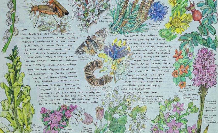 art journaling and nature journaling example page