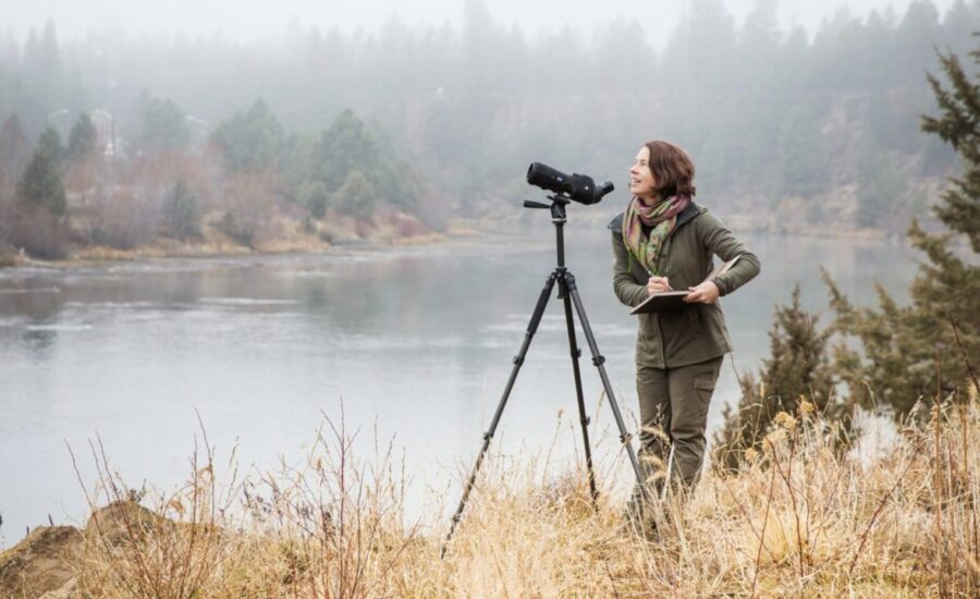 nature sketching and nature journaling with Christine Elder