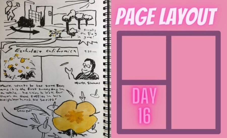 page layout in your nature journal