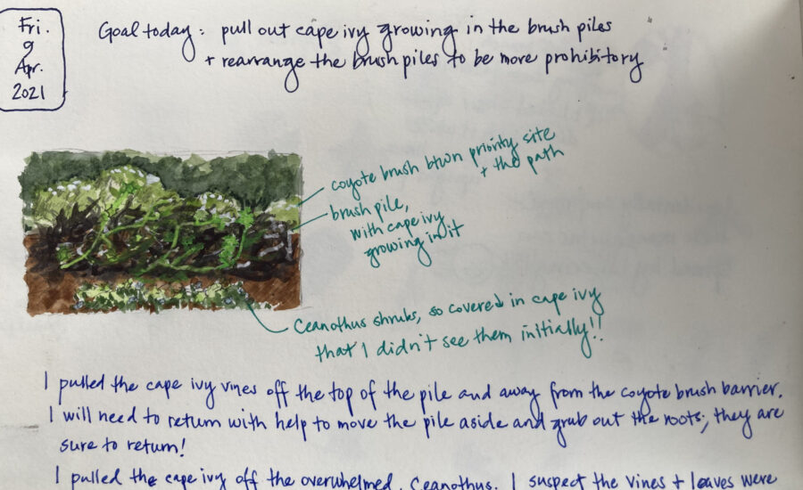 Any drawing can be made into a diagram.  Diagrams help us label details and highlight important information.