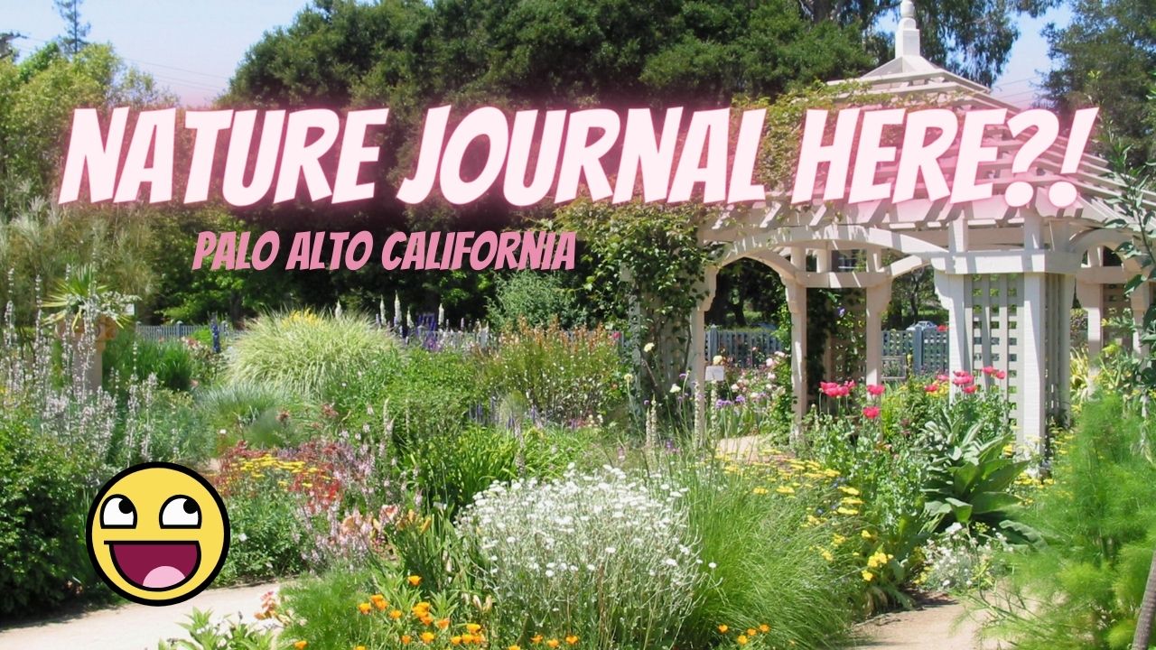 nature journaling class palo alto