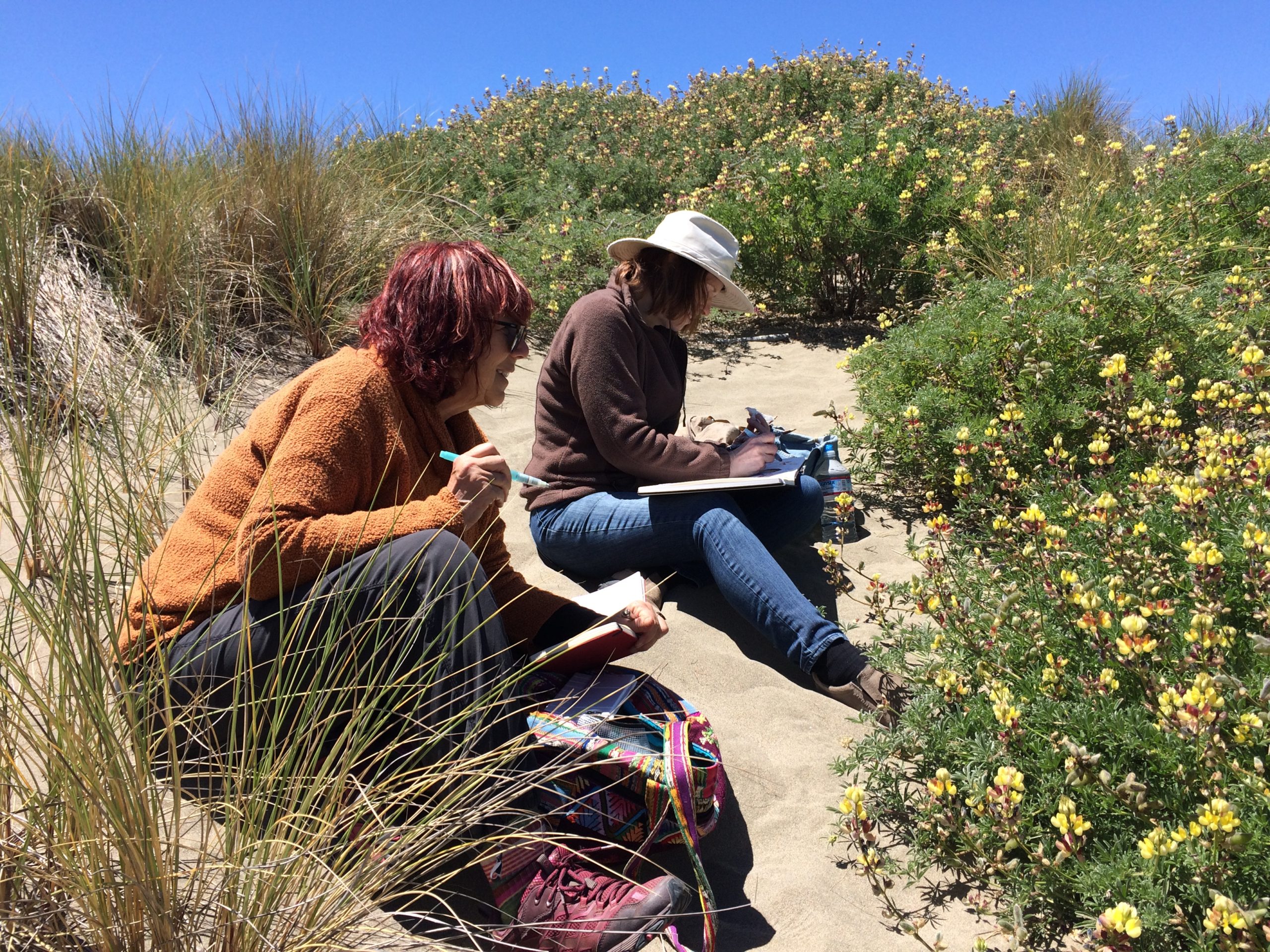 The North Bay Nature Journal Club