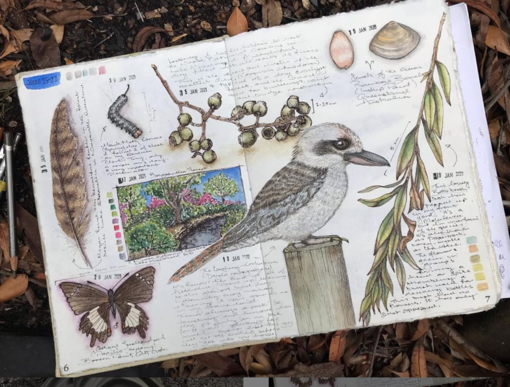 Botanical Art And Nature Journaling Marley Peifer