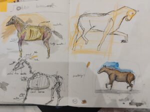 nature journal kid Raybonto draws horses