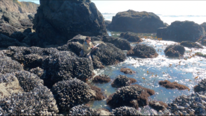 Marley nature journaling intertidal zone