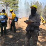 nature journaling at a prescribed fire