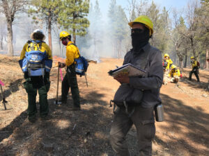 nature journaling at a prescribed fire
