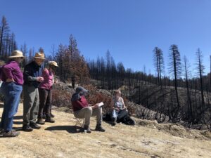 nature journaling at a prescribed burn, Laurie Wigham teaching Quincy community members how to use art as a way to process and connect with areas that burned recently around their homes