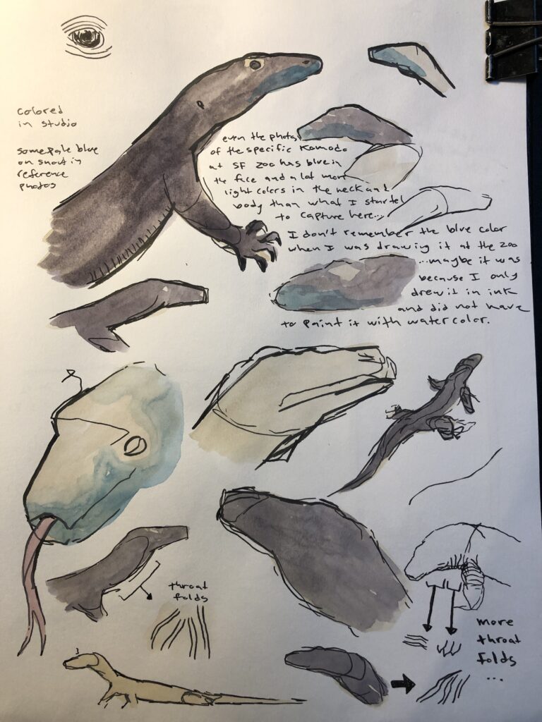 nature journaling reptiles at the san francisco zoo where they have a komodo dragon, the largest living lizard in the world. I use many quick sketches to try to capture the essence of this reptile as I try to draw it live. It was moving a lot. I added the color afterwards to the drawing.