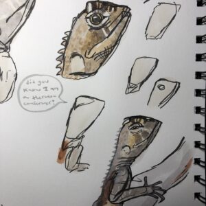 example page of nature journaling reptiles looking at a live lizard and doing many sketches trying to capture the head shape of this Uranoscodon superciliosus aka mophead iguana. 