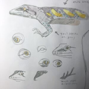 nature journaling reptiles is easier when you try to focus on small parts at a time. You can draw just they lizard eye over and over again for example.