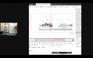 Using Dendroica's spectrogram