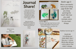 Some pages from the nature journaling magazine that Amaya is making