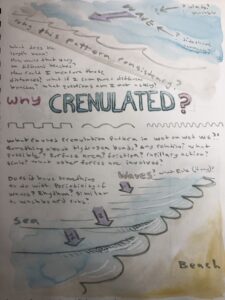 a nature journal page depicting abiotic nature which means non-biological, non-living aspects of nature in this case waves and a beach interacting