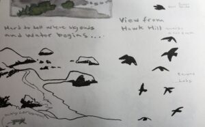 on this nature journal page you can see ink sketches of birds in flight next to a landscape drawing