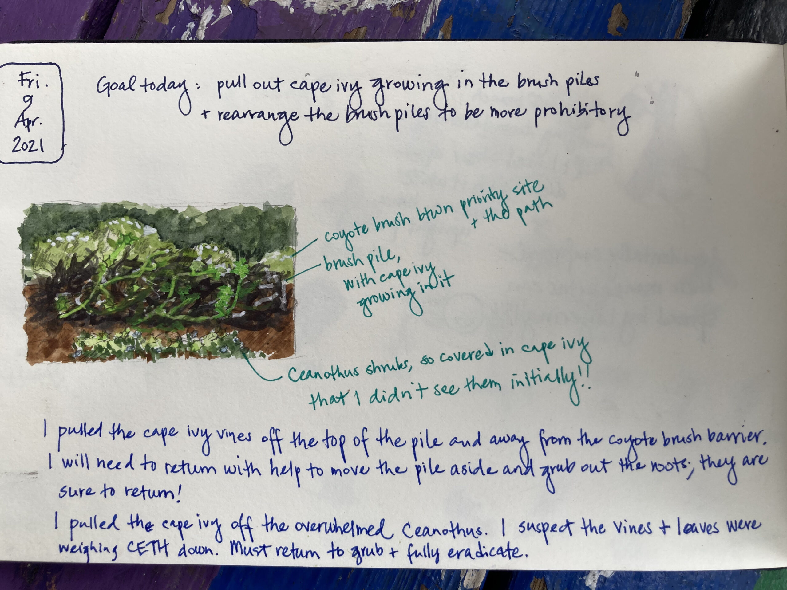 Native Plants Restoration and Nature Journaling