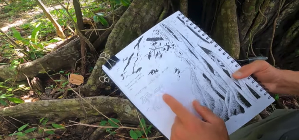 how to nature journal a tree in costa rica photo shows marley peifer drawing a tree and taking notes in his nature journal