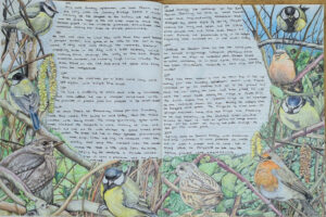 art journaling and nature journaling example page from Alex Boon with botanical illustrations, birds, and nature journaling text