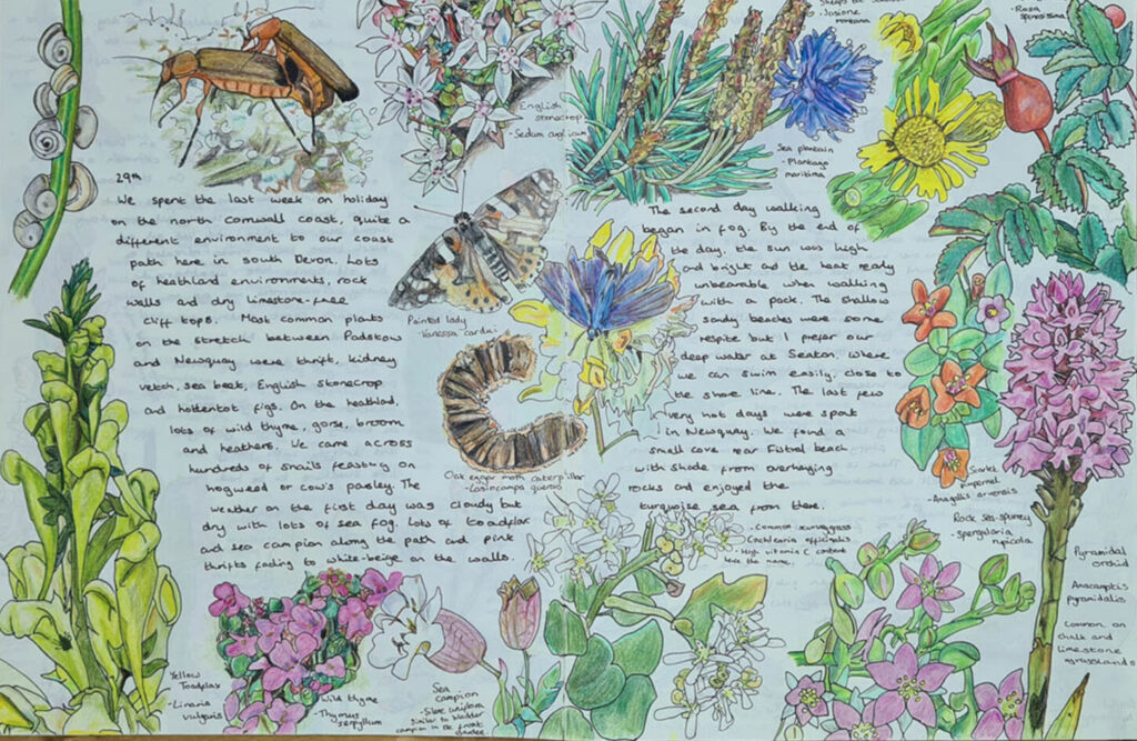 art journaling and nature journaling example page