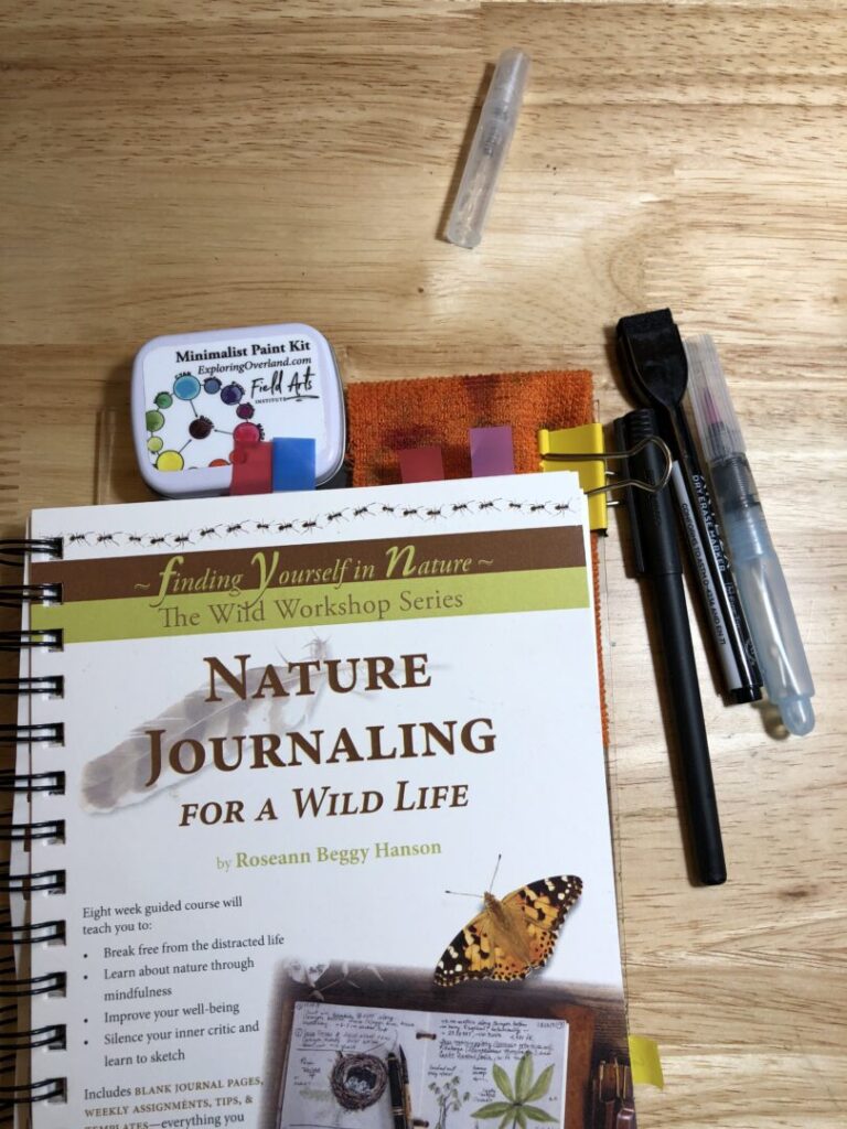 nature journaling for a wild life