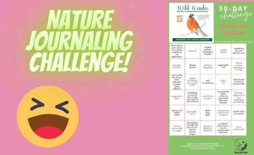 Thirty Day Nature Journaling Challenge!