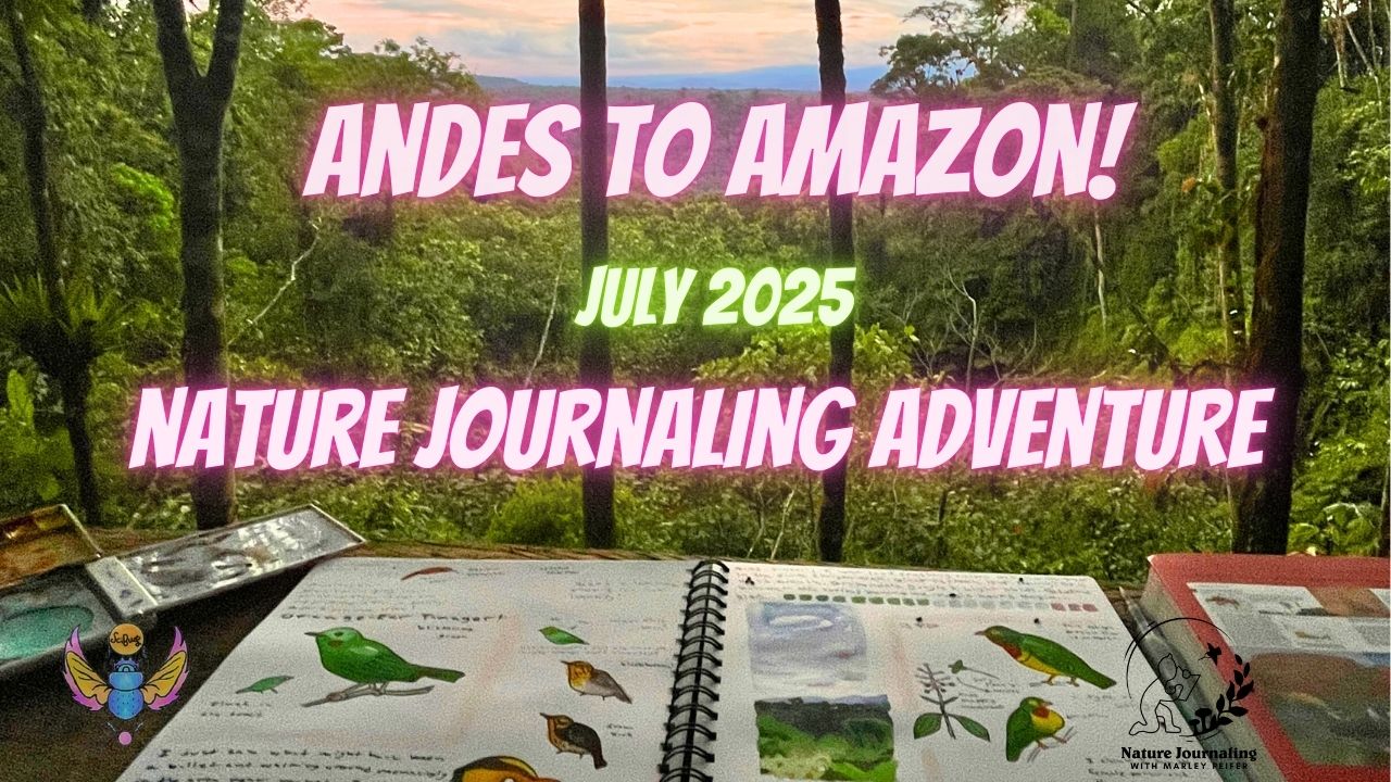 Andes to Amazon