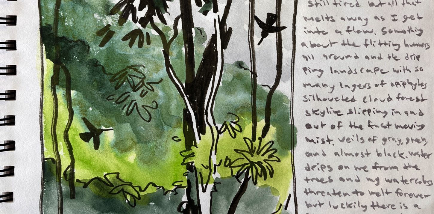 Why I like Nature Journaling in the Cloud Forest