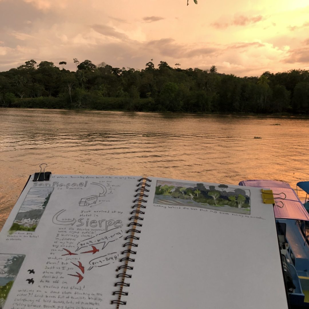 sunset image of a nature journal page with scarlet macaws and landscape painting
