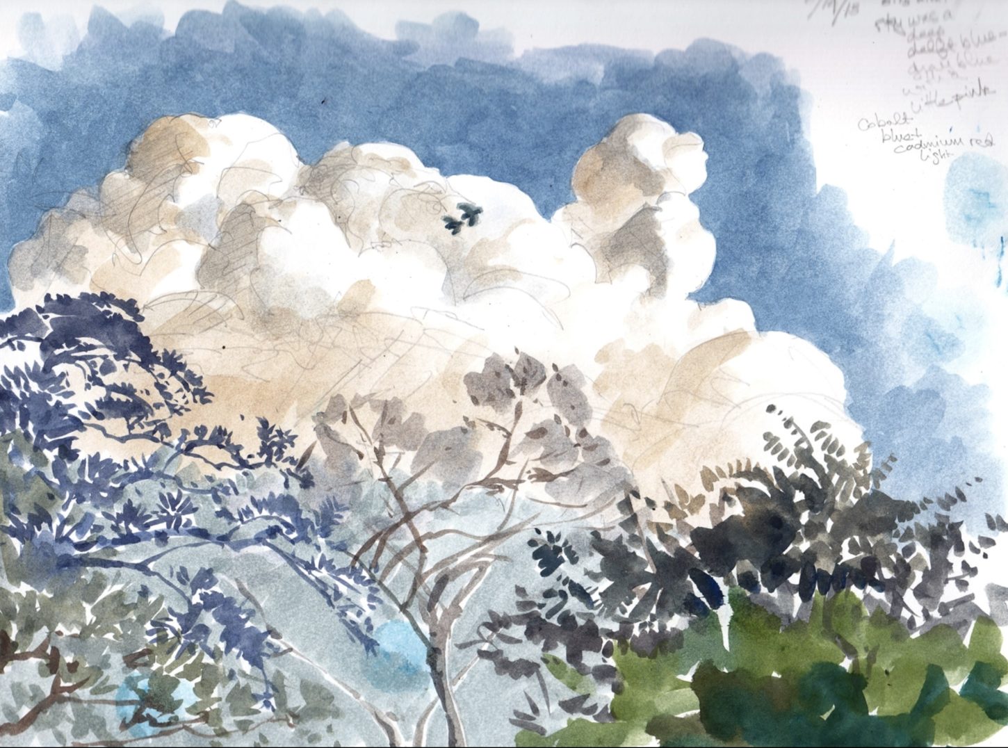Here is an example of nature sketching using a different art medium in this case watercolor. The scene depicted is a rainforest with a cloud in the background.