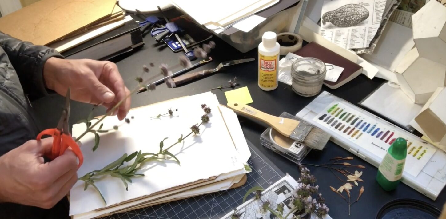 Supplies for Pressing Plants