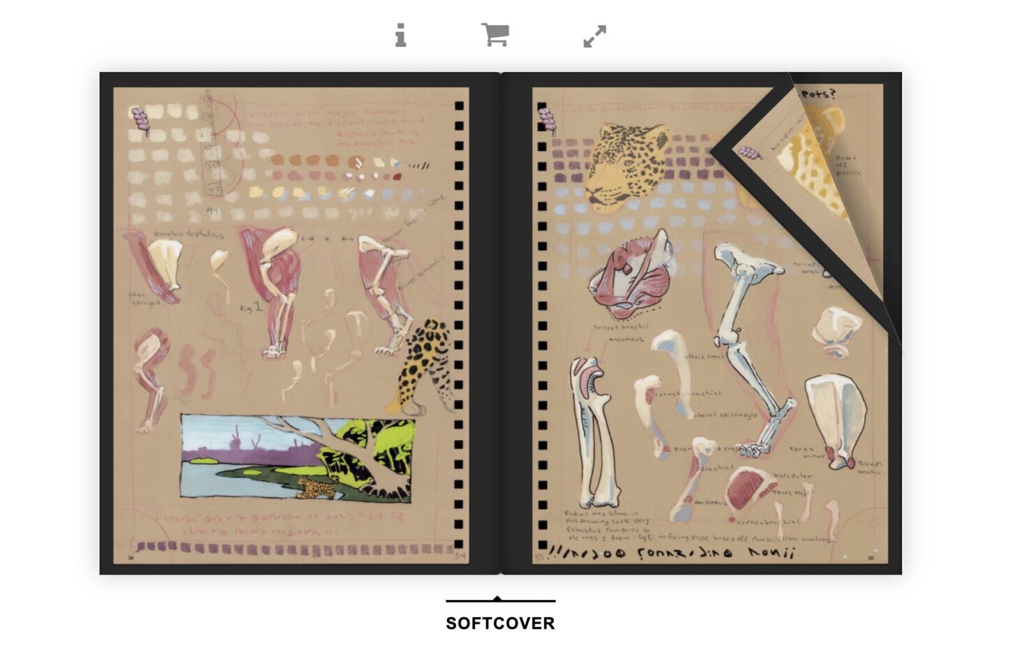 Jaguar Journals have Arrived!