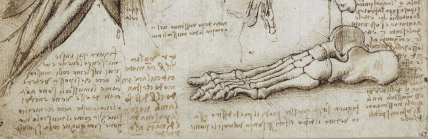 Leonardo Da Vinci Journal page showing anatomical drawings and notes