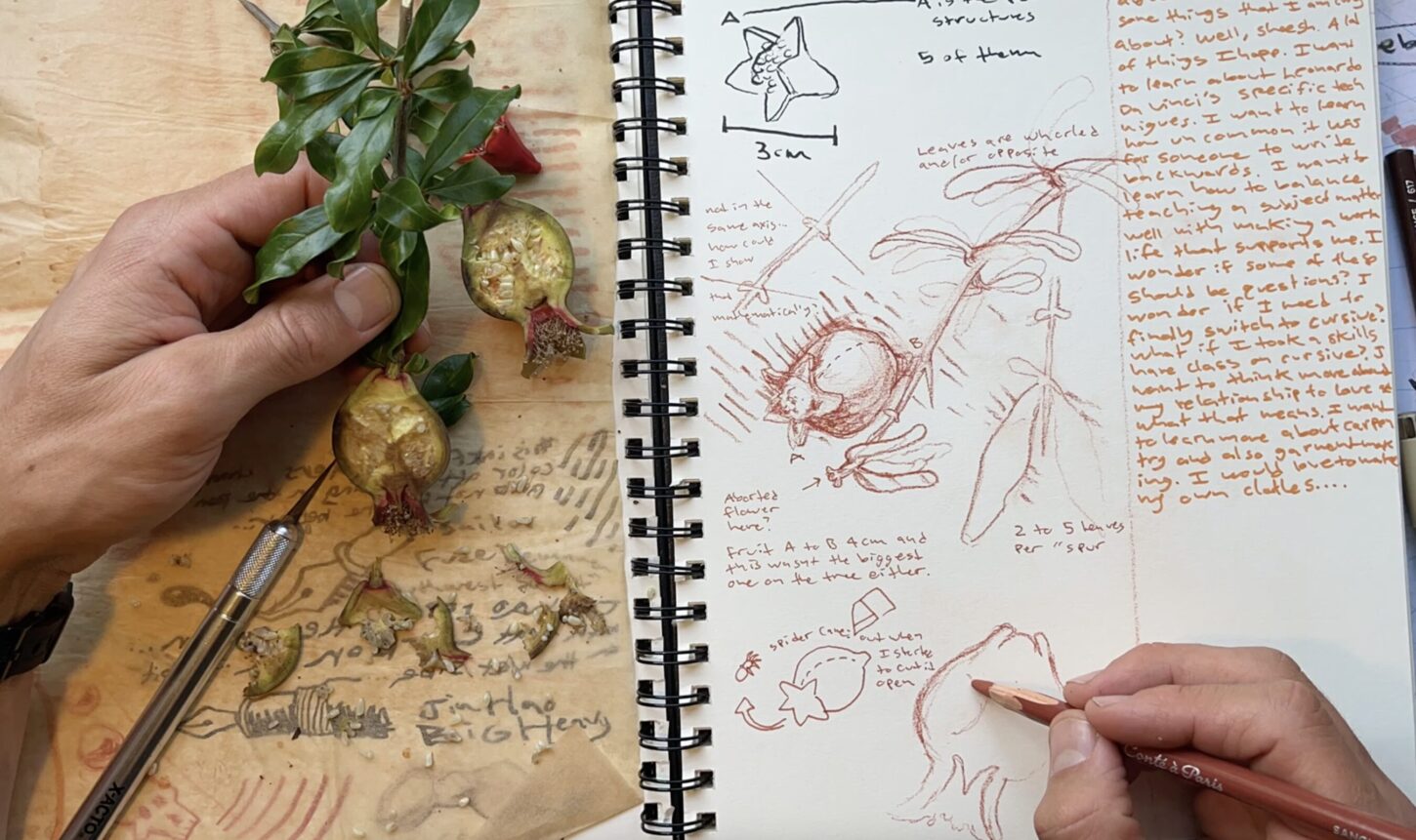 Leonardo Da Vinci Journaling Challenge