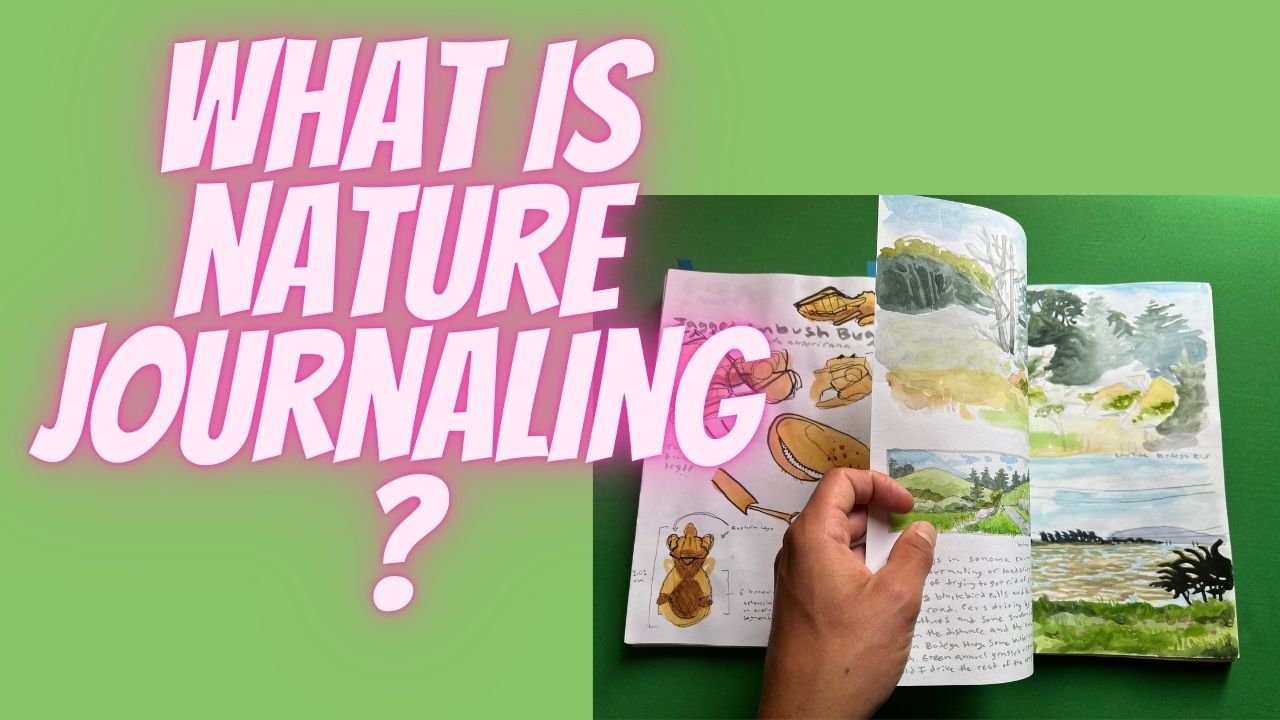 What is Nature Journaling For You?