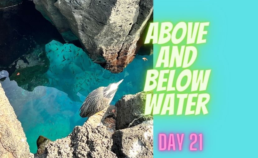 Above and Below Water: Challenge day 21