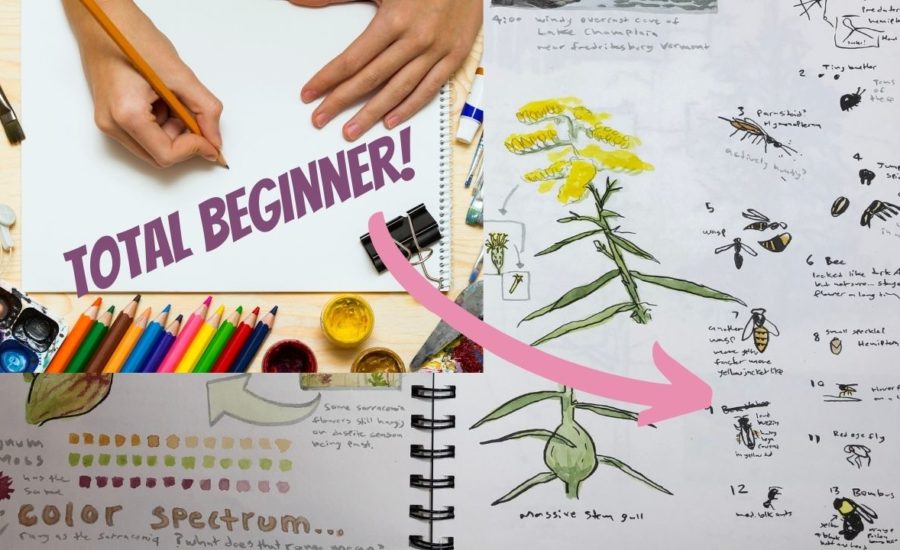 Nature Journaling for Beginners: Essentials - Marley Peifer