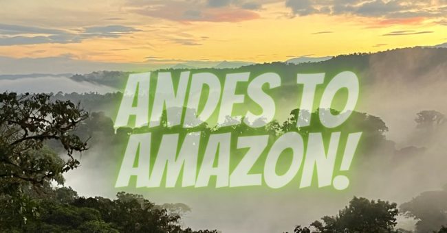 Andes to Amazon!