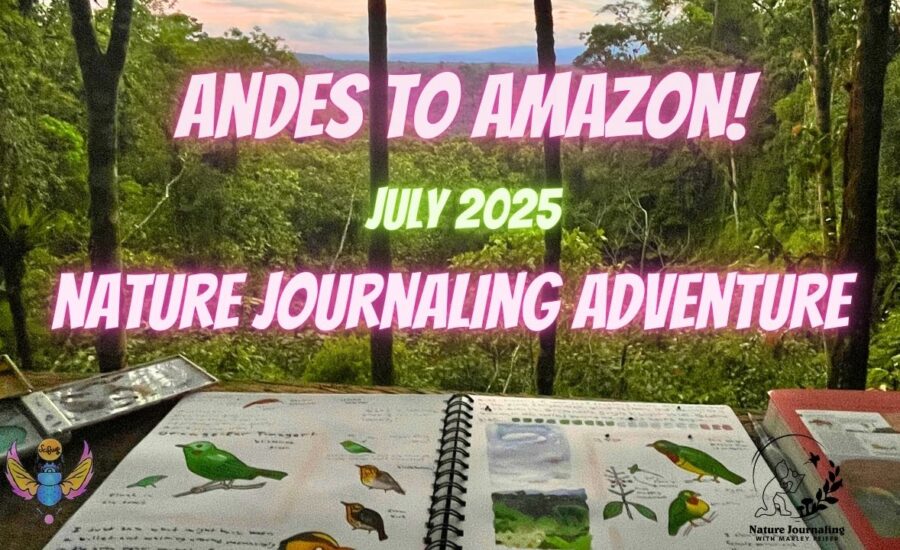 Andes to amazon 2025