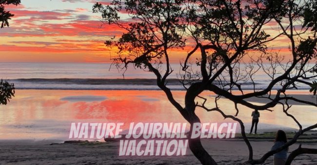 Nature Journal Beach Vacation