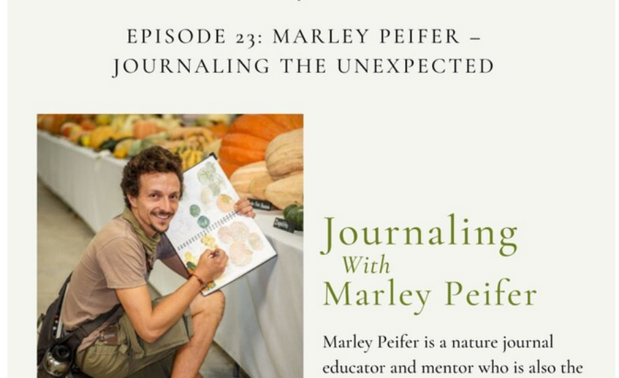 nature journaling podcast